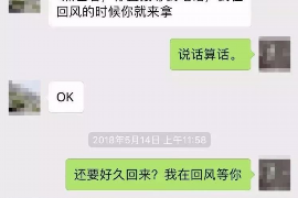 宁晋如何避免债务纠纷？专业追讨公司教您应对之策