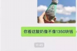 宁晋为什么选择专业追讨公司来处理您的债务纠纷？